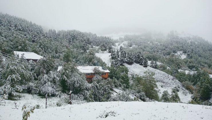 Artvin’de kar yağdı, yaylalar beyaza büründü