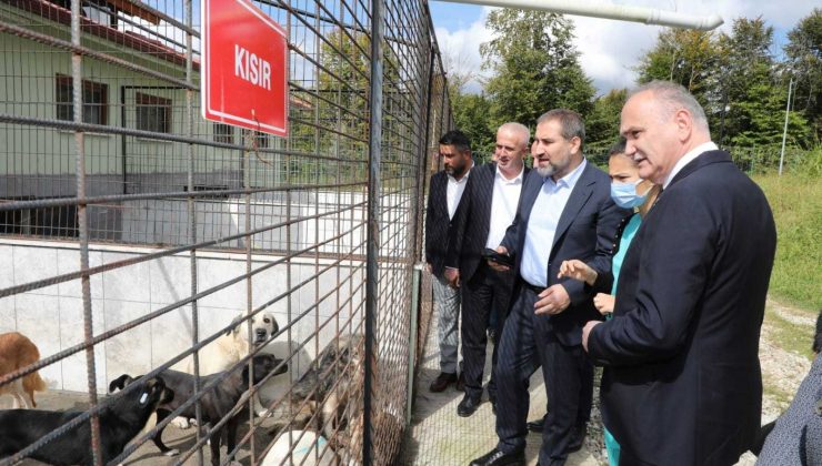 Özlü’nün projelerine tam puan